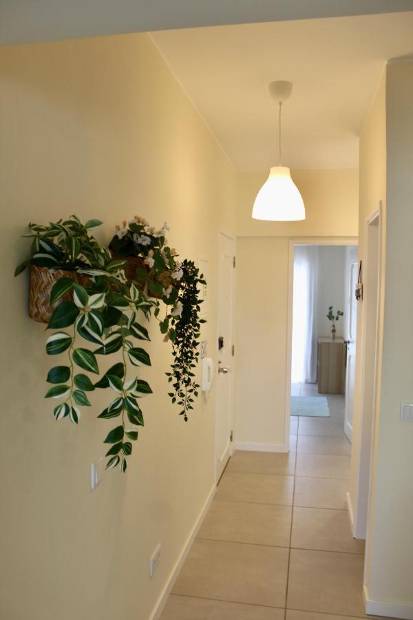 Apartment Casa Mare Baixa Armacao de Pera